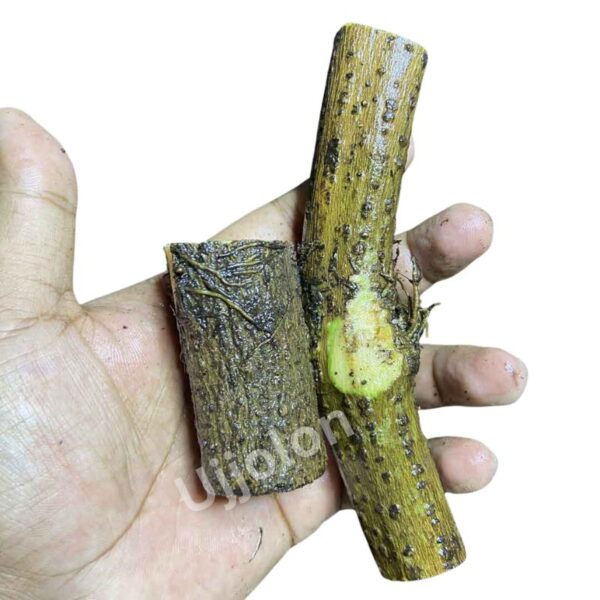 এটো চুইঝাল ! 500g - Image 3