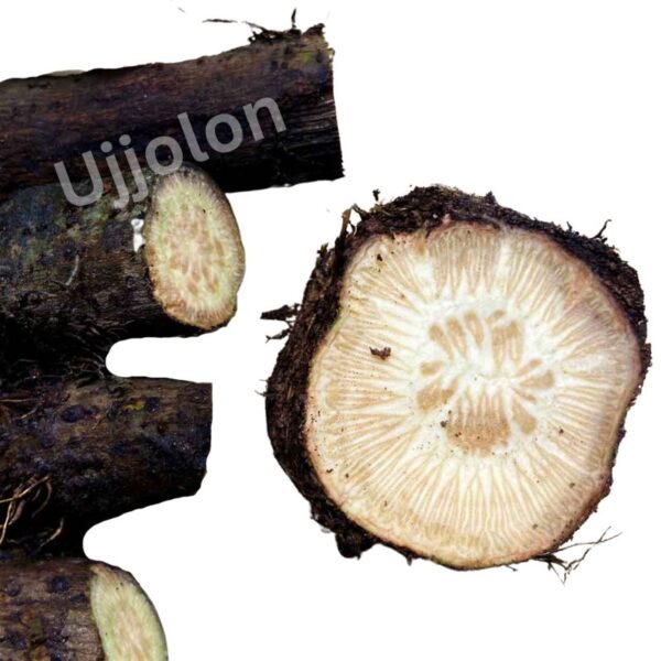 গাছ চুইঝাল ! 500g - Image 2