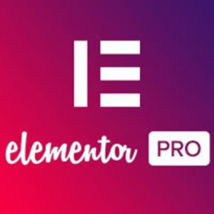 Elementor Pro (WordPress)